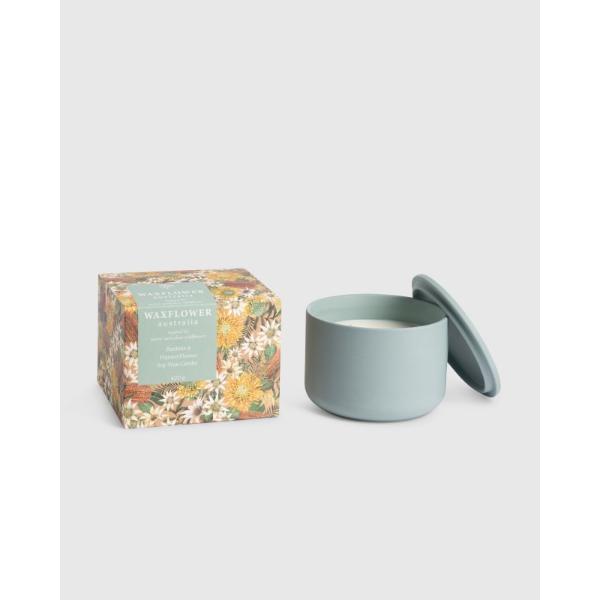 Banksia & Flannel Flower Waxflower Soy Blend Candle - 420g