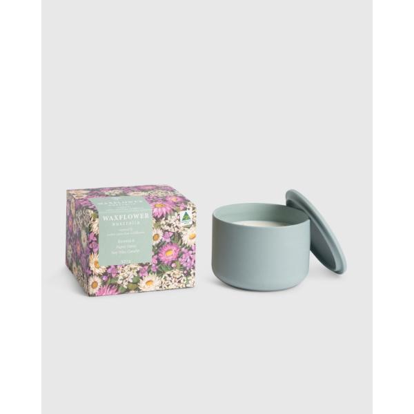 Boronia & Paper Daisy Waxflower Soy Blend Candle - 420g