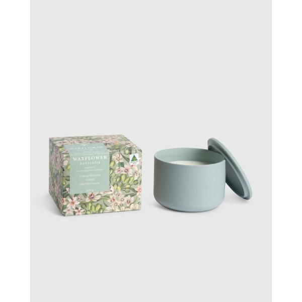Orange Blossom Orchid Waxflower Soy Blend Candle - 420g