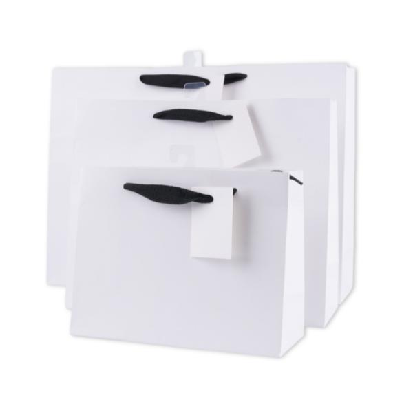 Medium Matte White Landscape Gift Bag With Black Handles - 23cm x 18cm x 10cm