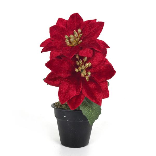 2 Head Red hair Poinsettia Pot - 20cm