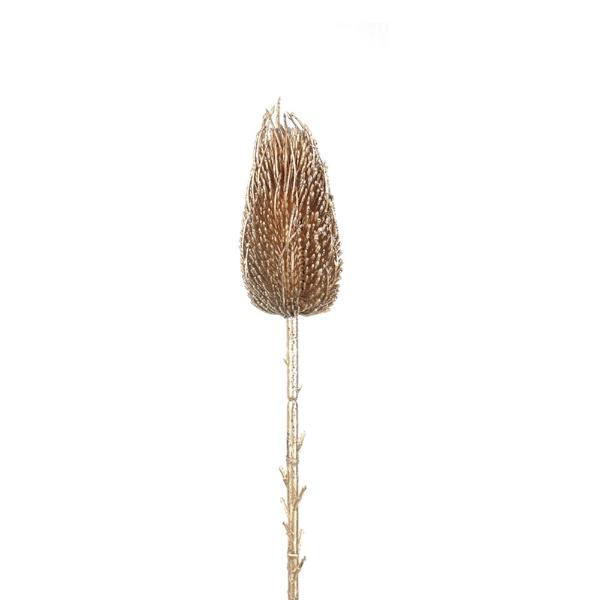 Gold Protea - 68cm