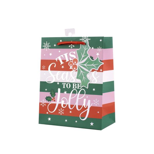 Medium Tis The Season Gift Bag - 18cm x 23cm x 10cm