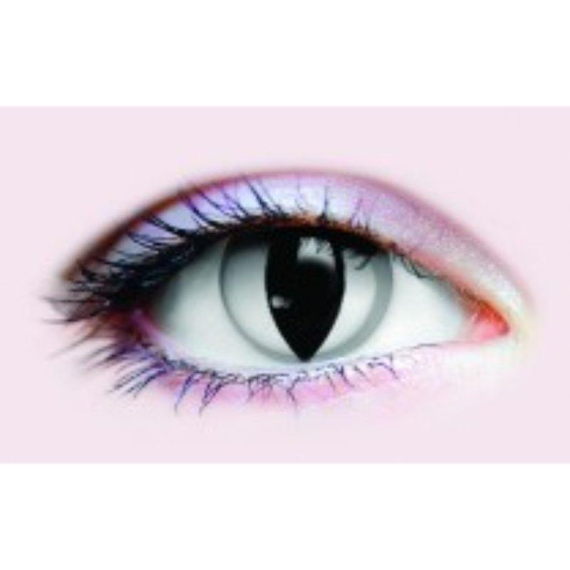 Medium Plastic Hologram Picture - The Base Warehouse