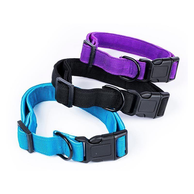 Medium Premium Dog Collar - 2cm x 40-55cm - The Base Warehouse