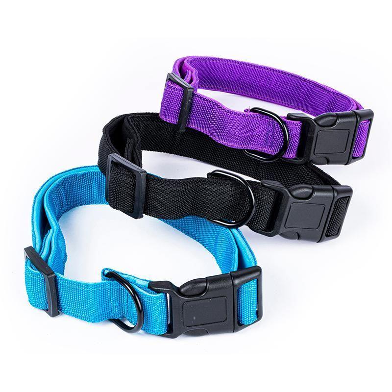 Large Premium Dog Collar - 2.5cm x 45-60cm - The Base Warehouse