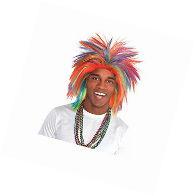 Rainbow Crazy Wig