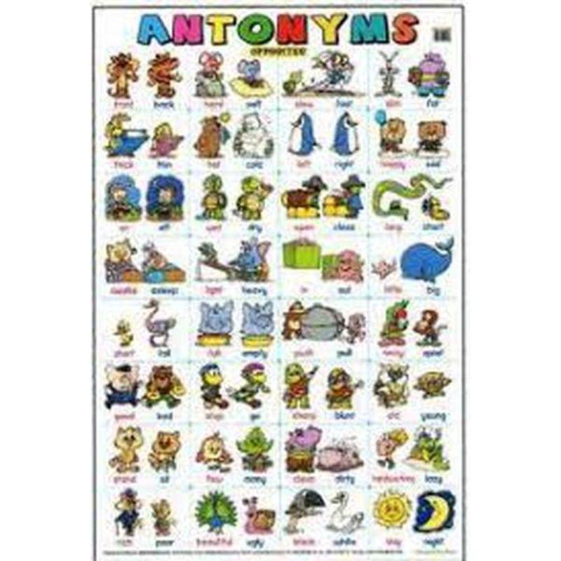 Educational Chart Antonyms