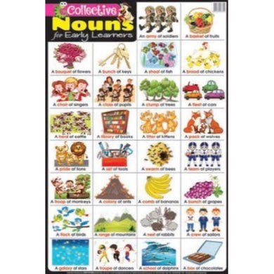 Educational Chart Collective Nouns - 760mm x 505mm - The Base Warehouse