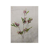 Load image into Gallery viewer, Purple Blackwood Wattle Acacia Melanoxylon Spray - 92cm
