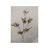Load image into Gallery viewer, Purple Blackwood Wattle Acacia Melanoxylon Spray - 92cm