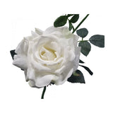 Load image into Gallery viewer, White Quiannie Queen Rose - 35cm
