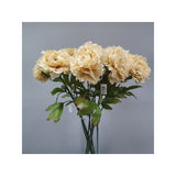 Load image into Gallery viewer, Cream Dried Peony Stem - 81cm