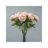 Load image into Gallery viewer, Light Pink Dried Peony Stem - 81cm
