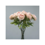 Load image into Gallery viewer, Light Pink Dried Peony Stem - 81cm