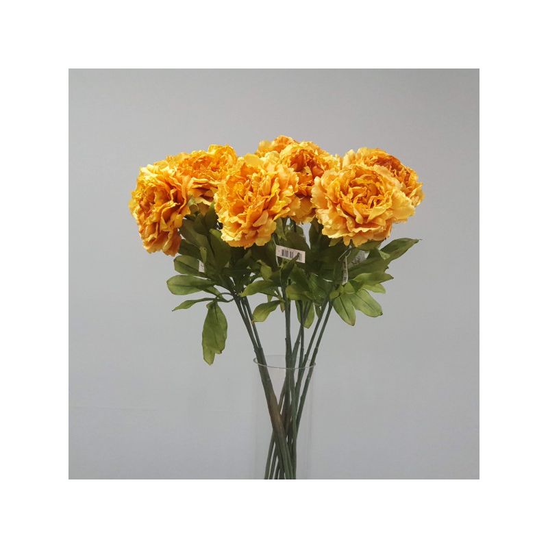 Yellow Dried Peony Stem - 81cm