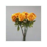 Load image into Gallery viewer, Yellow Dried Peony Stem - 81cm
