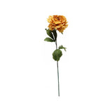 Load image into Gallery viewer, Yellow Dried Peony Stem - 81cm
