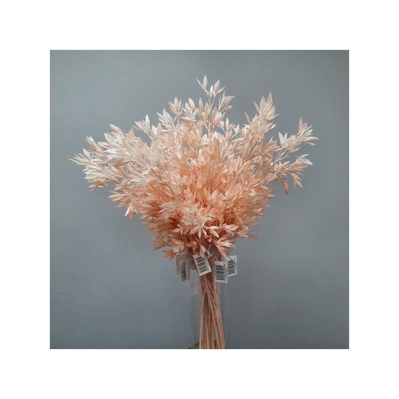 Light Pink Grass Spray - 79cm