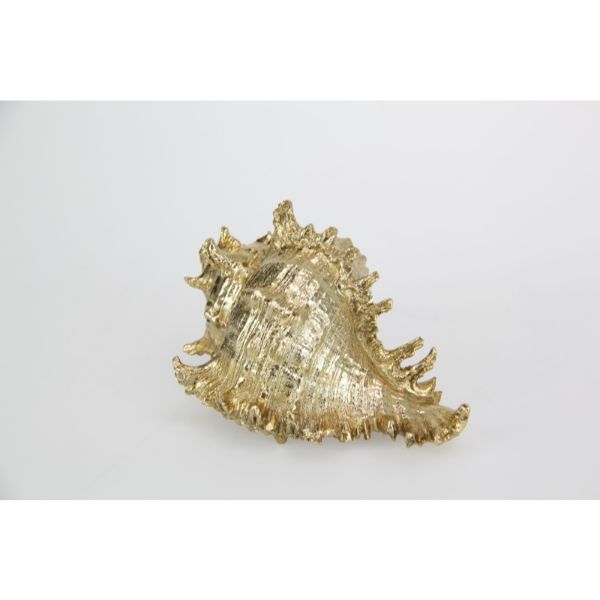 Gold Decor Conch Shell - 16cm
