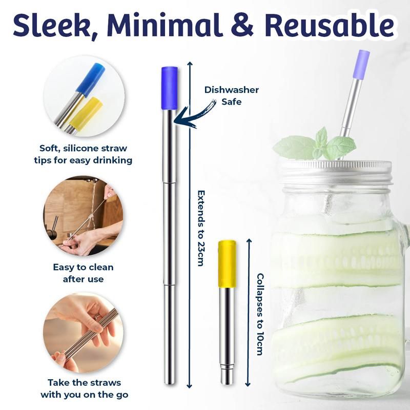 2 Pack Collapsible Stainless Steel Straw - 23cm