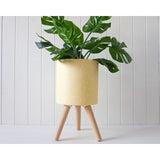 Load image into Gallery viewer, Yellow Thorpe Pot Planter - 25cm x 47cm x 25cm