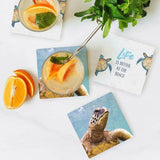 Load image into Gallery viewer, 4 Pack Square Ceramic Elliot Turtle Life Is Better At The Beach Coaster - 10cm x 10cm