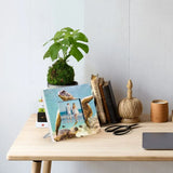 Load image into Gallery viewer, Elliot Turtle Photo Frame - 20cm x 20cm