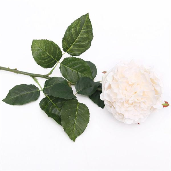 Ivory Cabbage Rose Stem - 55cm