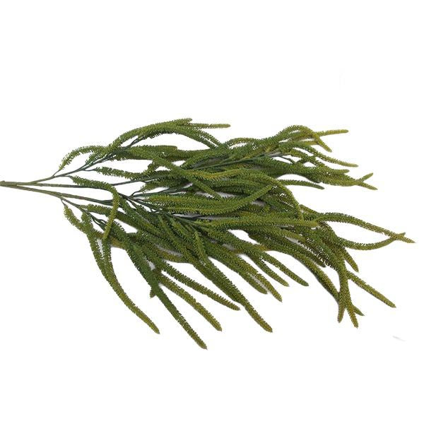 Green Amaranthus - 80cm