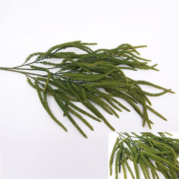 Green Amaranthus - 80cm