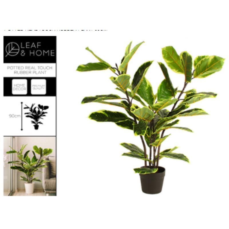 POTTED REAL TOUCH RUBBER PLAN