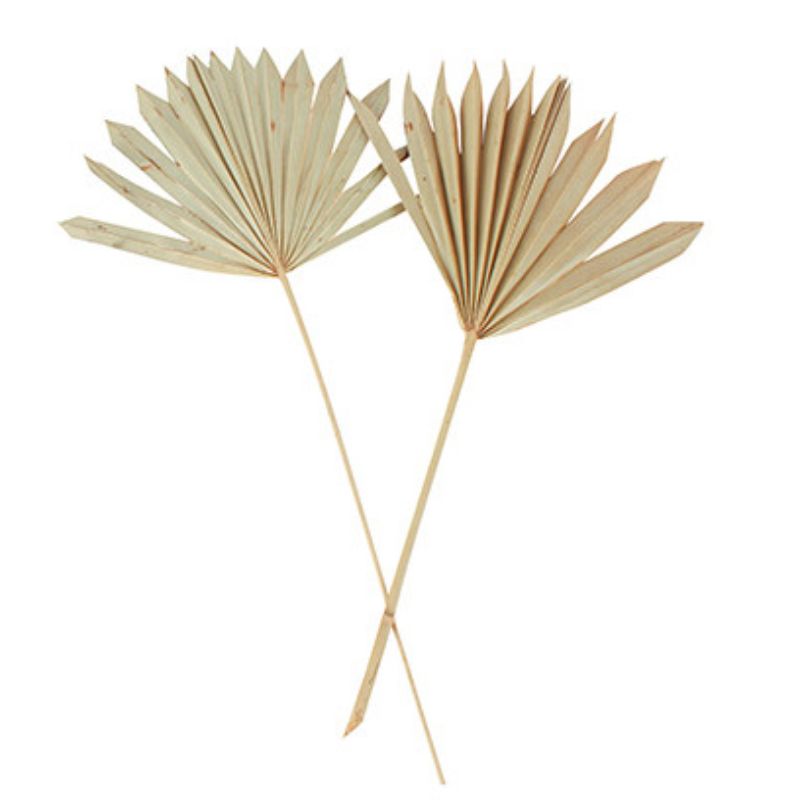 2 Pack Natural Sun Spear - 55cm