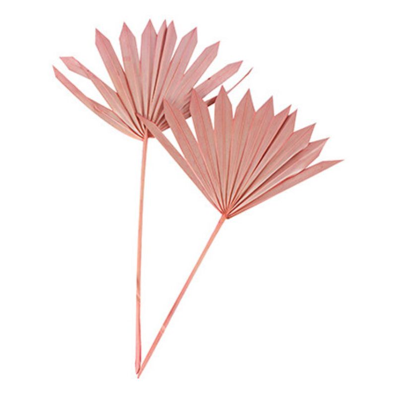 2 Pack Pink Sun Spear Millennial - 55cm