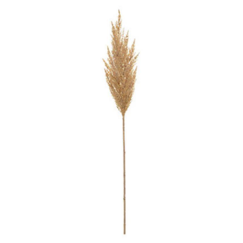 Light Coffee Astilbe Spray - 113cm