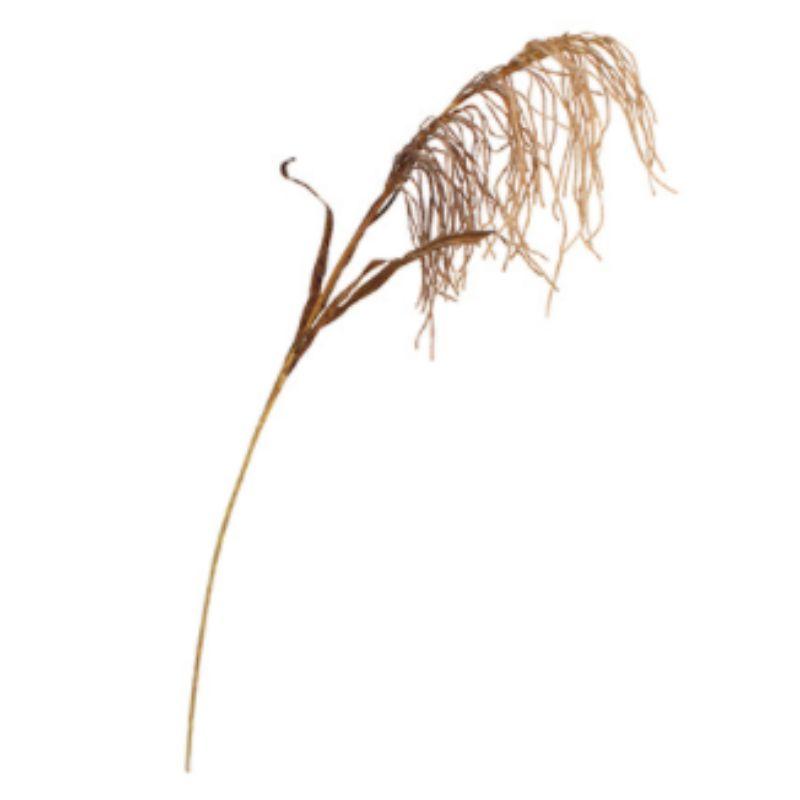 Light Coffee Reed Spray - 90cm
