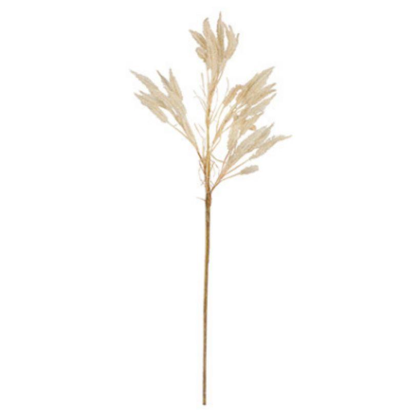 White Millet Spray - 70cm