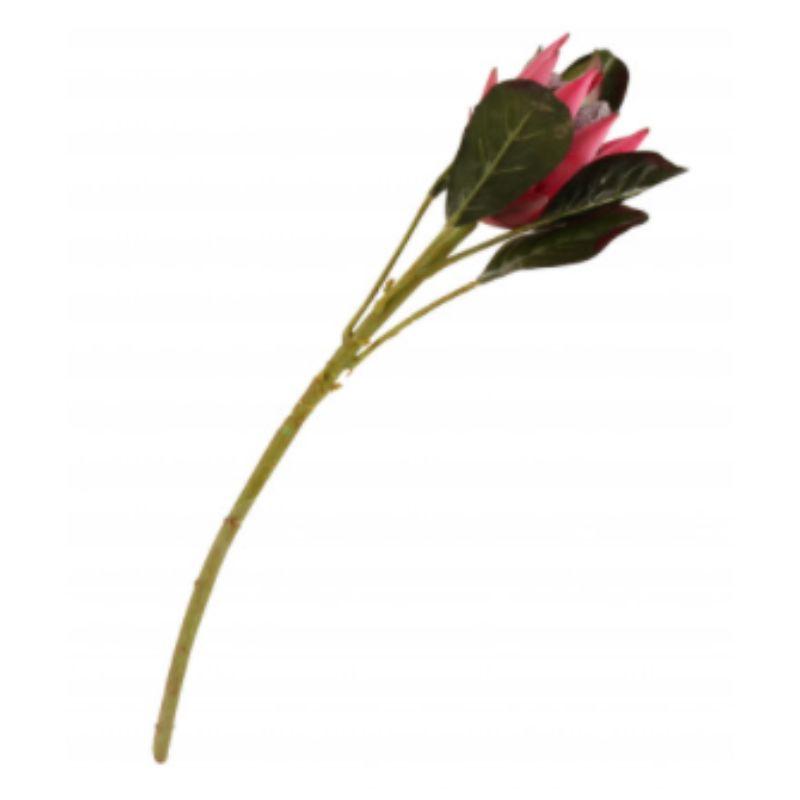 Pink Emperor Protea - 51cm