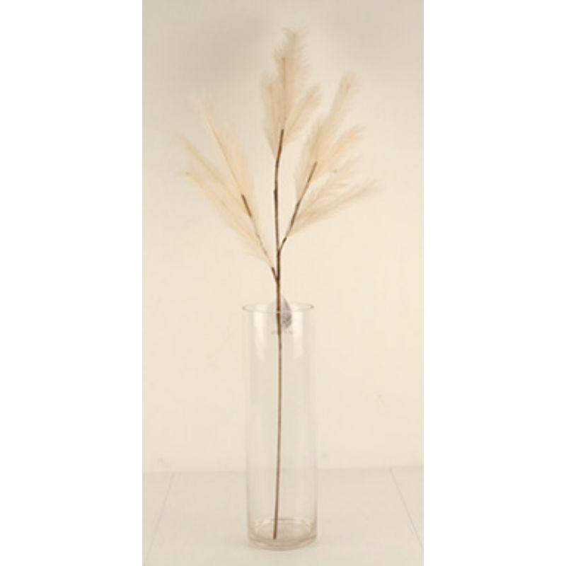 Pampas Cream Spray - 100cm