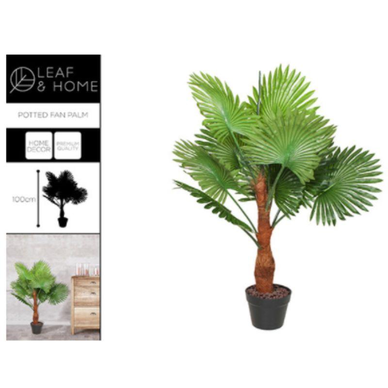 POTTED 100CM FAN PALM