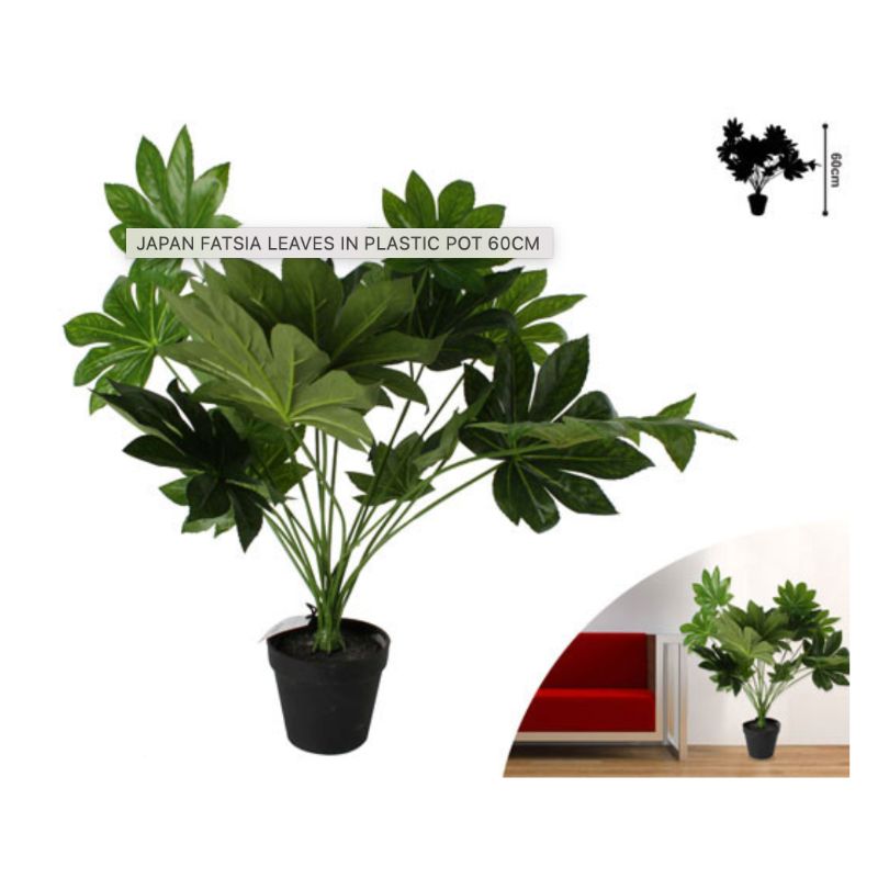 Japan Fatsia Leaves in Plastic Pot - 60cm