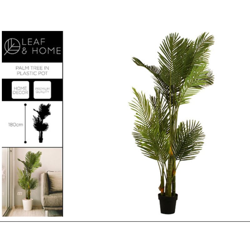 Palm Tree in Plastic Pot - 180cm