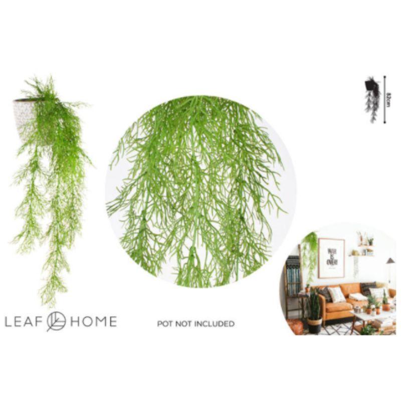 Alder Cascading Plant - 82cm