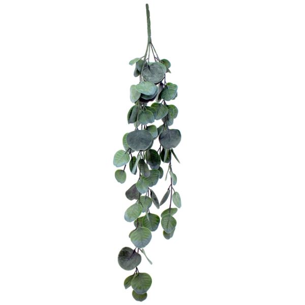 Hanging Eucalyptus - 68.5cm