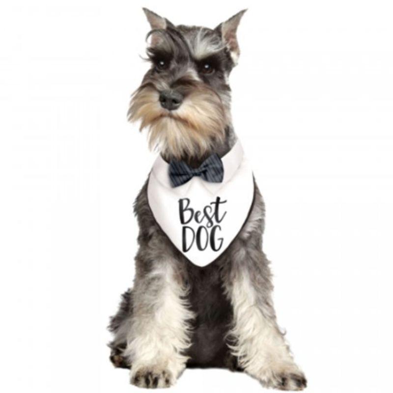 Wedding Best Dog Bandana - 29cm x 36cm