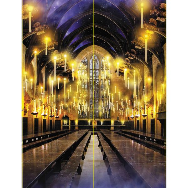 Harry Potter Halloween Scene Setters - 2 x 203cm x 70cm