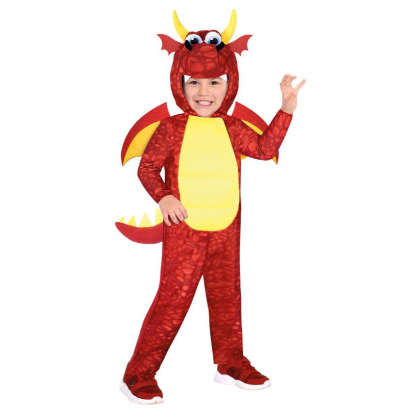 Boys Dragon Costume - Size 4-6 Years