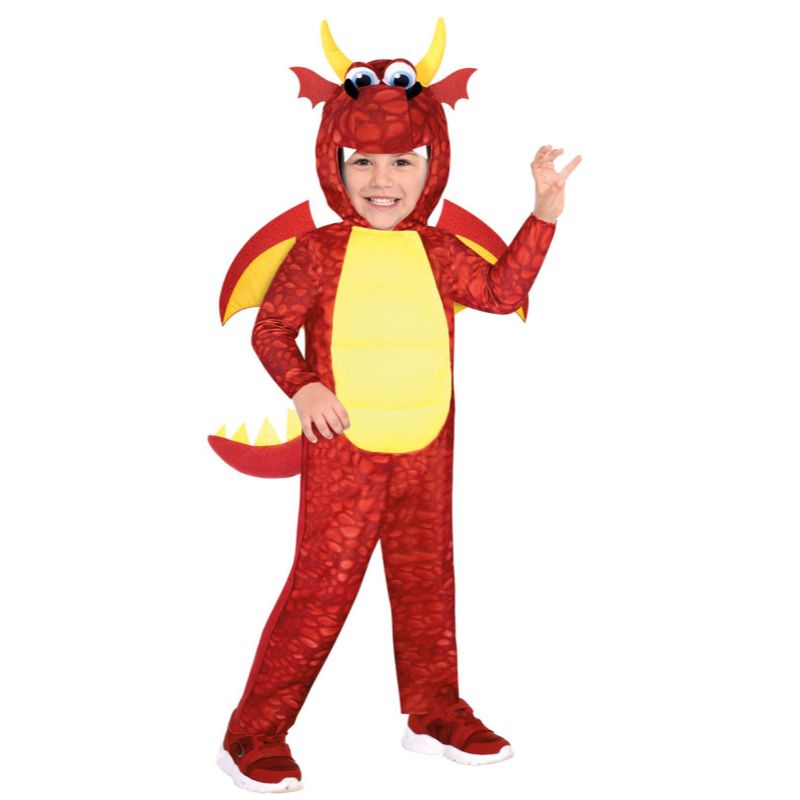 Boys Dragon Costume - Size 6-8 Years