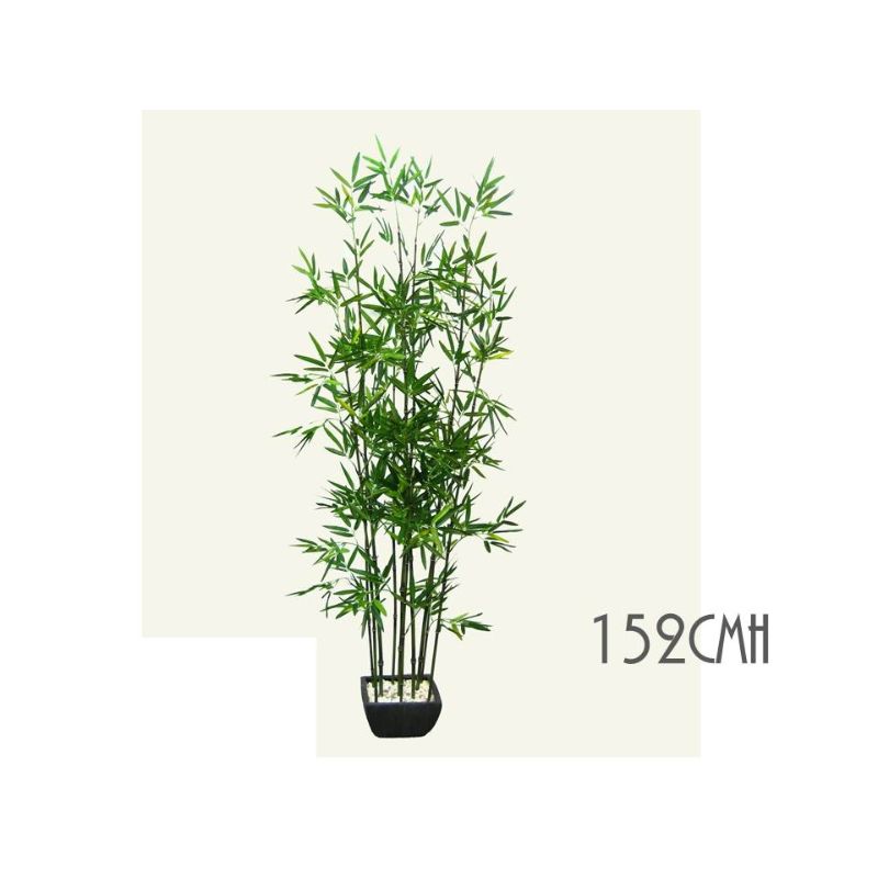 Bamboo in Terracotta Pot - 152cm