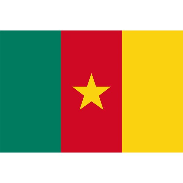 CAMEROON FLAG